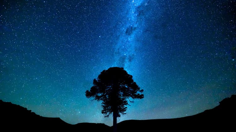 3181b200215f4afd90a646643a2f9781_thumbnail