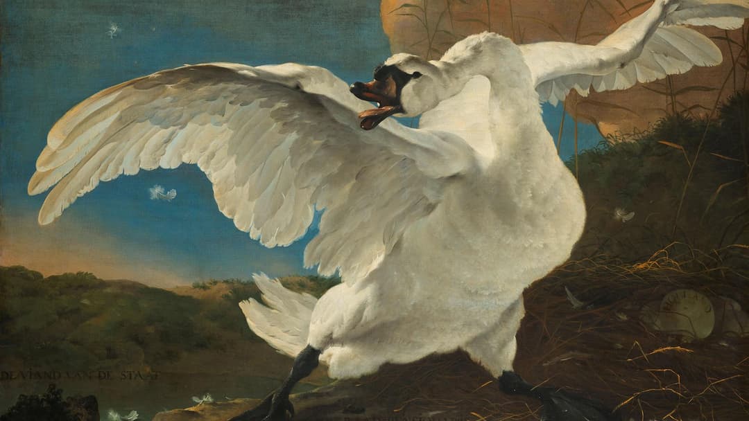 7da0b8084d794c628c4a53bf29dbd7f3_thumbnail