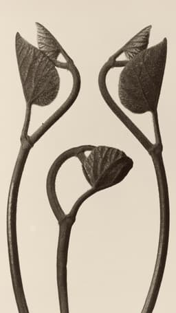 de1dcdb7ccd44e29b8504474f0a0ed59_thumbnail